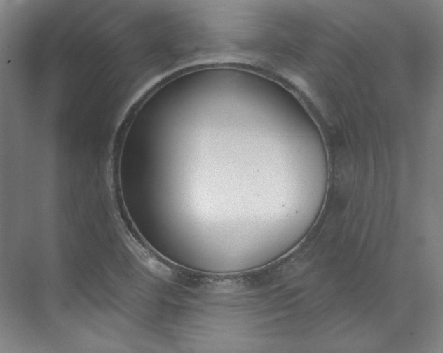 X0000073991460200609060945