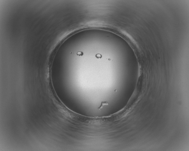 X0000073991461200609060945