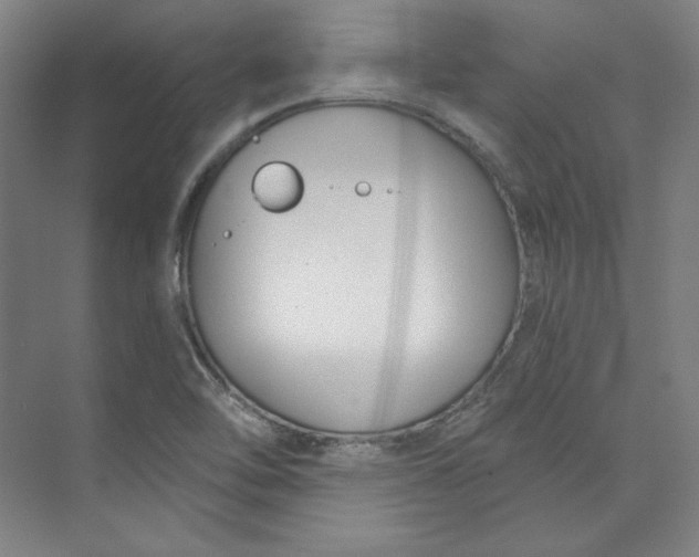 X0000073991462200609060945