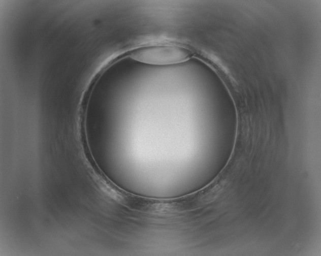 X0000073991463200609060945