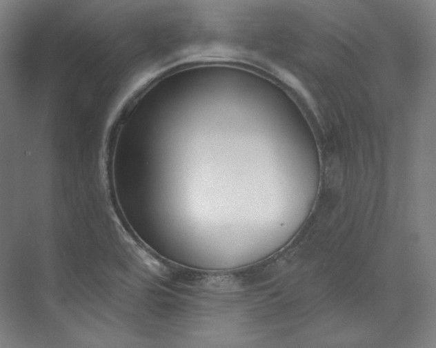 X0000073991464200609060945