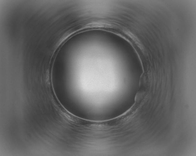 X0000073991465200609060945