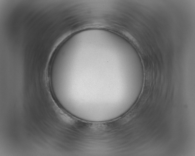 X0000073991466200609060945