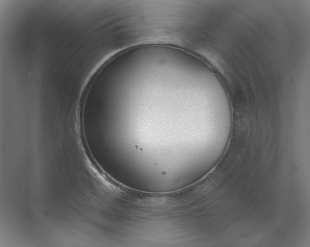 X0000073991468200609060945