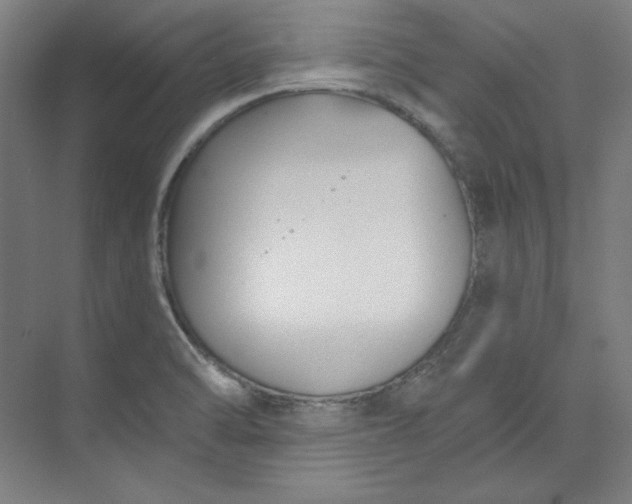 X0000073991470200609060945