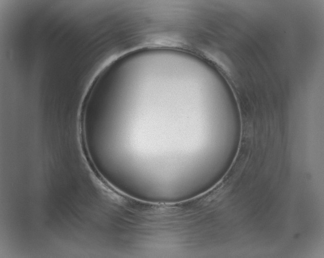 X0000073991471200609060945