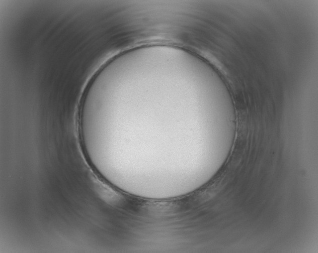 X0000073991474200609060945