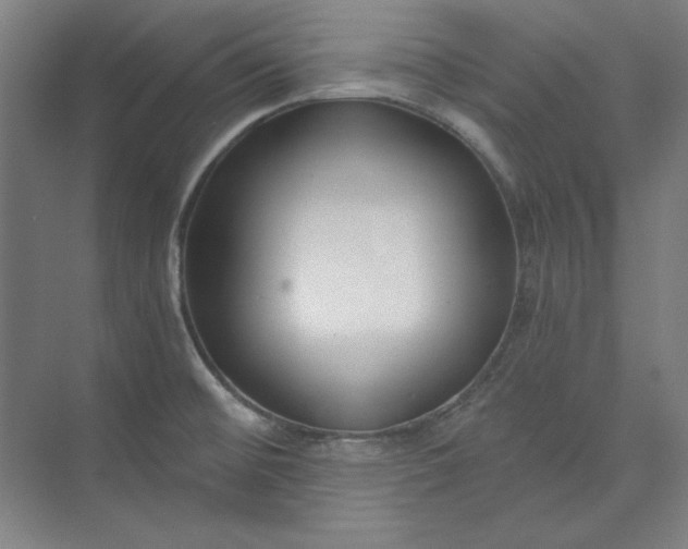 X0000073991476200609060945