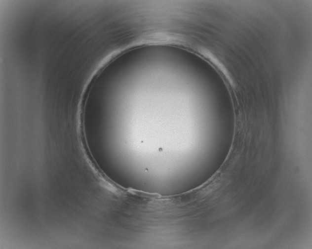 X0000073991477200609060945