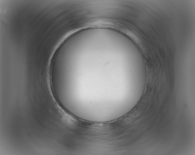 X0000073991478200609060945