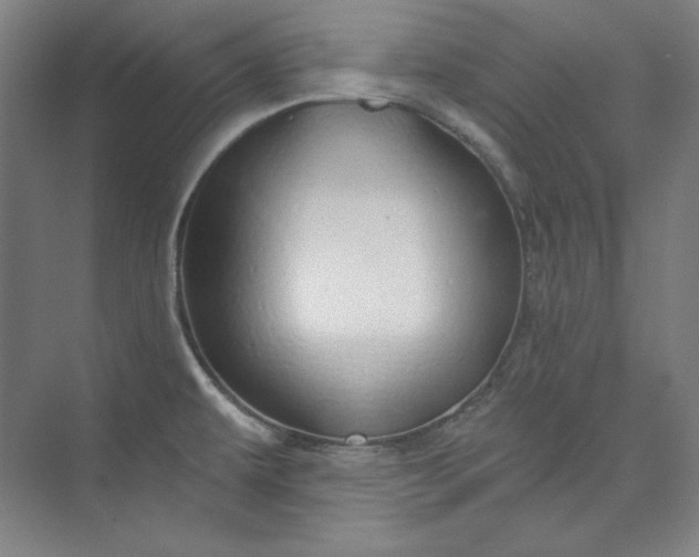 X0000073991479200609060945