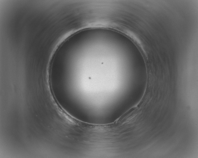 X0000073991480200609060945