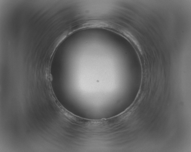 X0000073991481200609060945