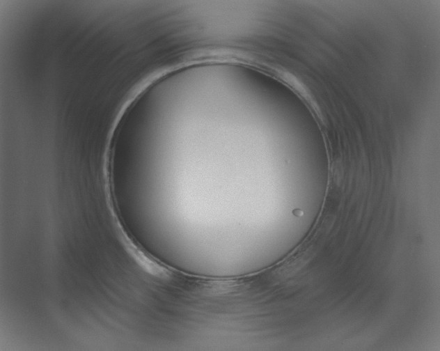 X0000073991482200609060945