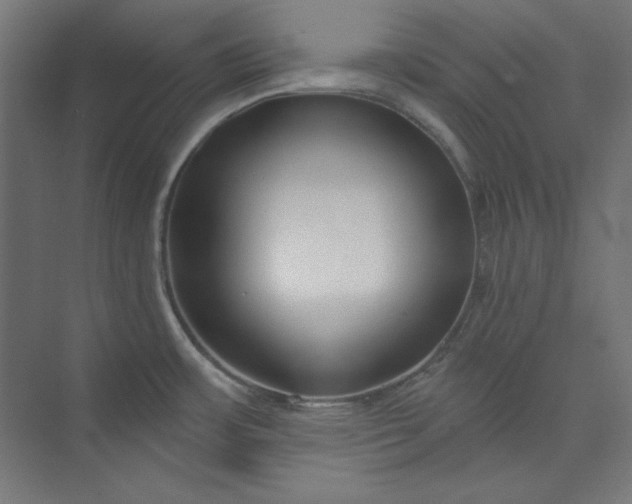 X0000073991483200609060945