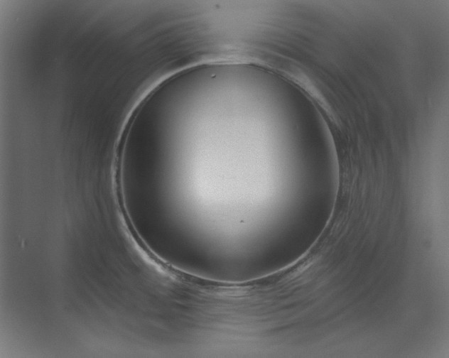 X0000073991484200609060945