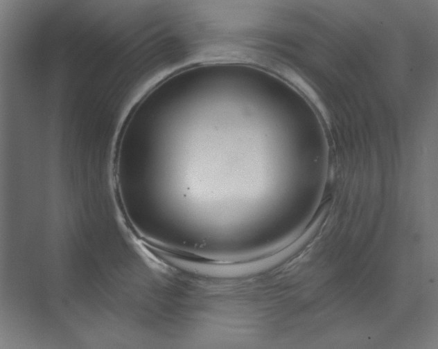 X0000073991485200609060945