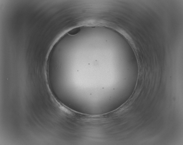 X0000073991486200609060945