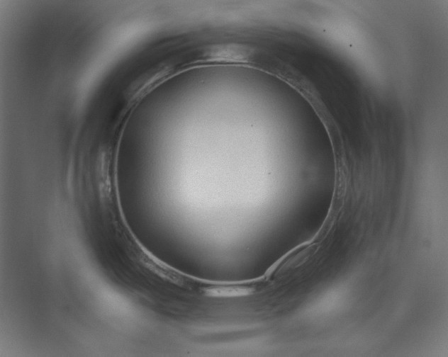 X0000073991487200609060945