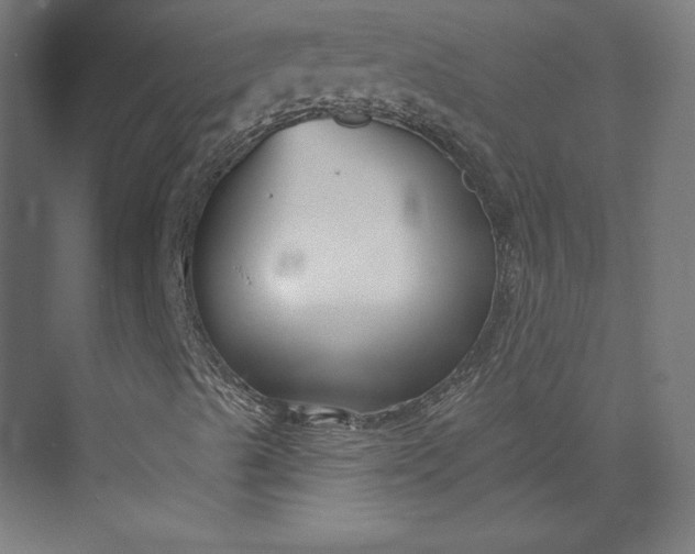 X0000073991489200609060944