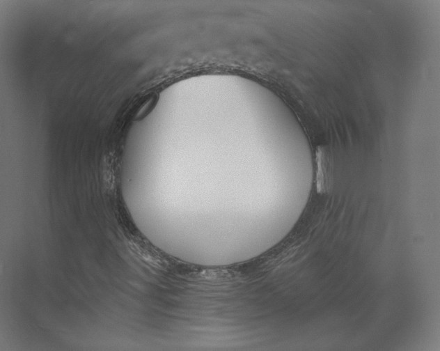 X0000073991491200609060944