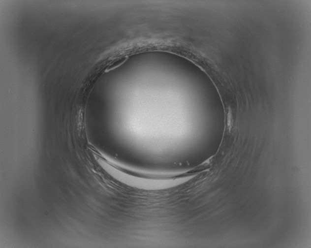 X0000073991492200609060944