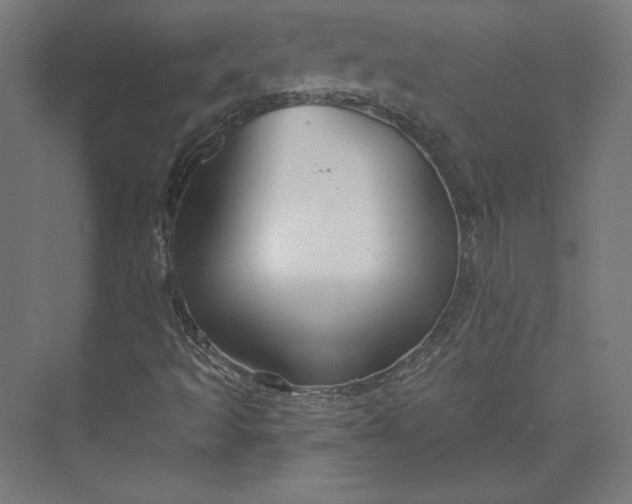 X0000073991493200609060944