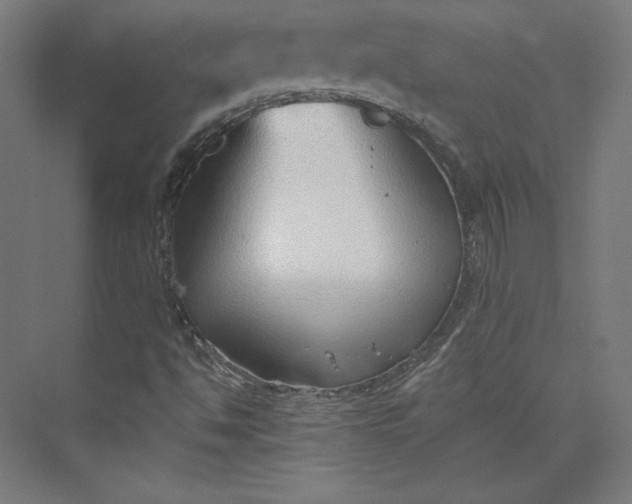 X0000073991494200609060944