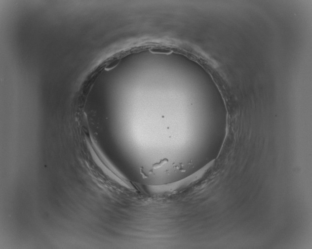 X0000073991496200609060944