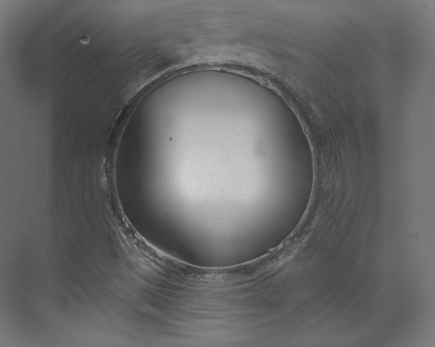 X0000073991497200609060944