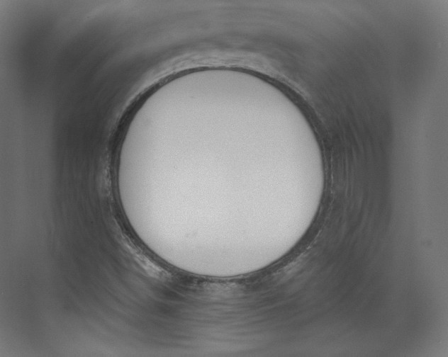 X0000073991498200609060944