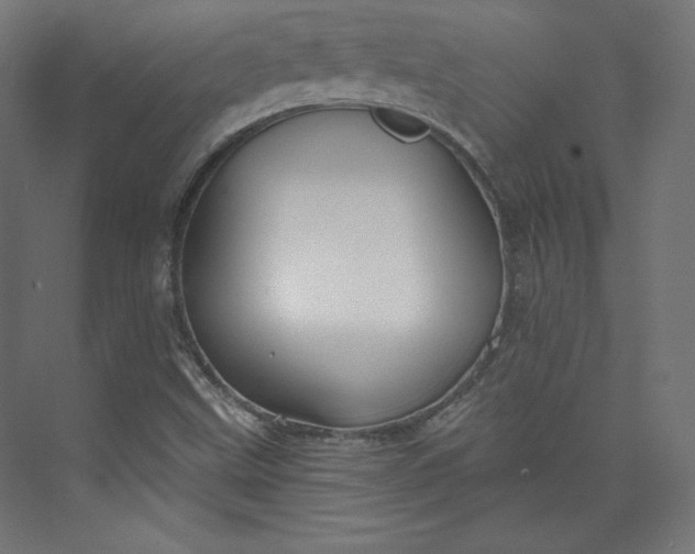 X0000073991499200609060944