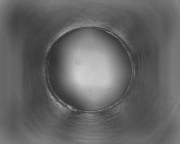 X0000073991500200609060944