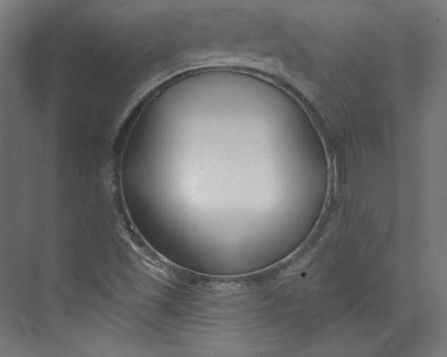 X0000073991501200609060944