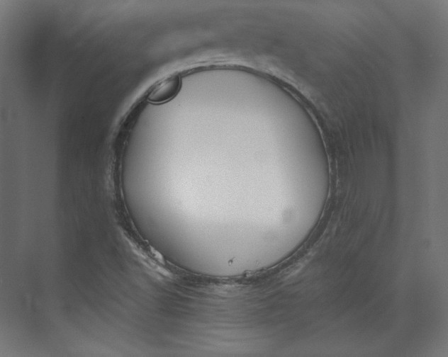 X0000073991502200609060944