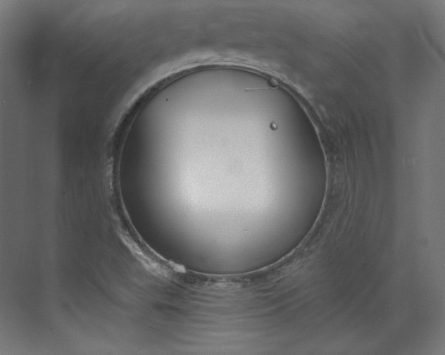 X0000073991503200609060944