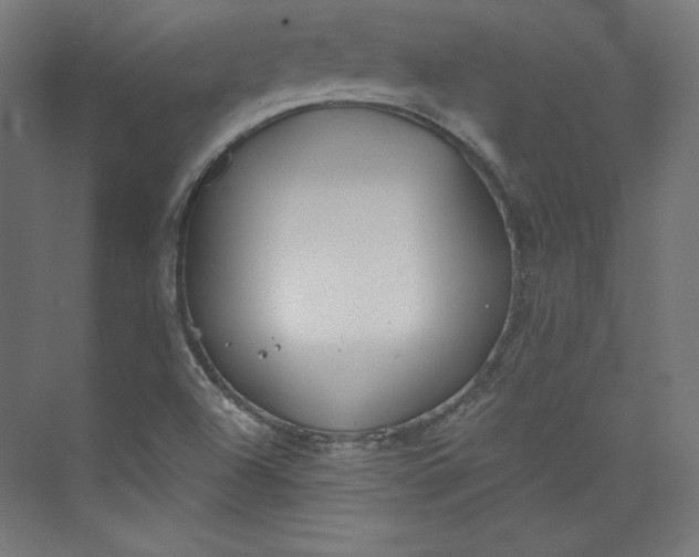 X0000073991504200609060944