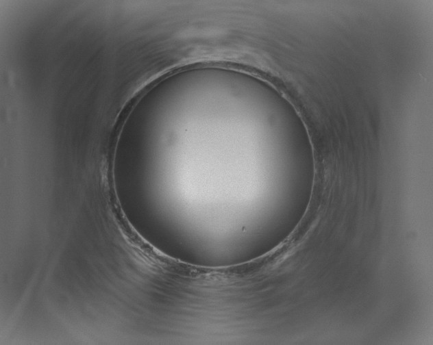 X0000073991505200609060944