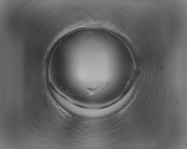 X0000073991506200609060944