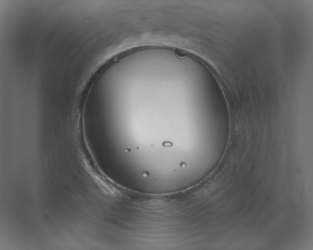 X0000073991507200609060944