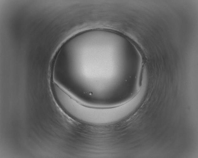 X0000073991508200609060944