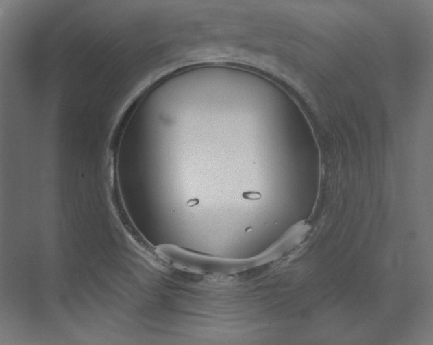 X0000073991509200609060944