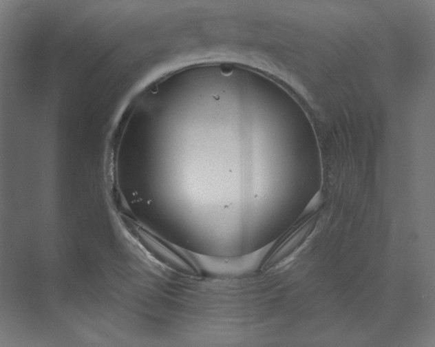 X0000073991510200609060944