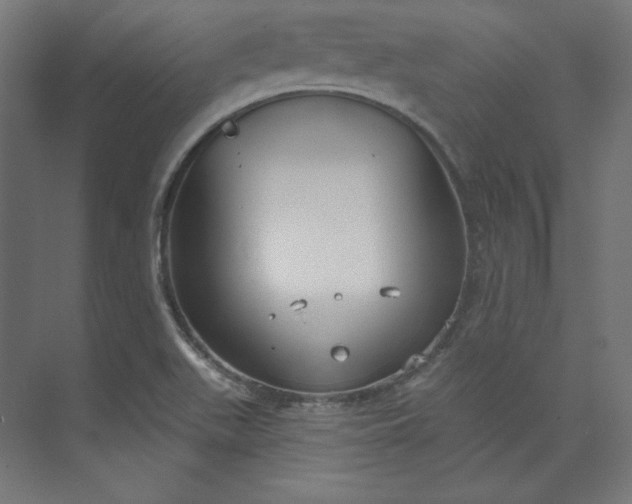 X0000073991511200609060944