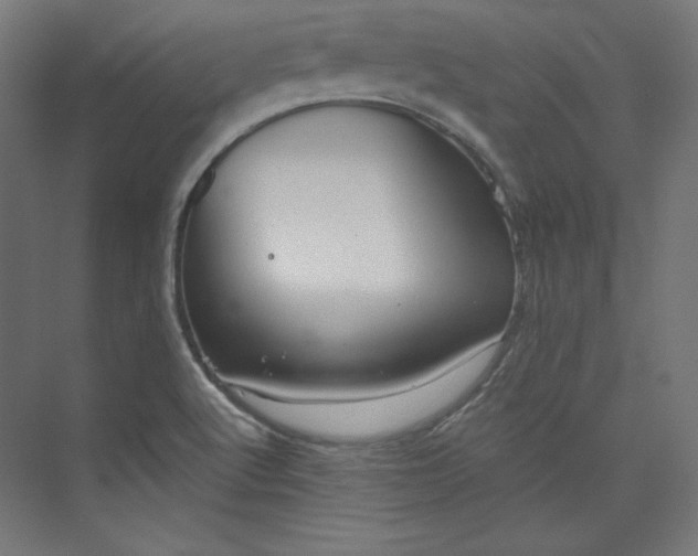 X0000073991512200609060944