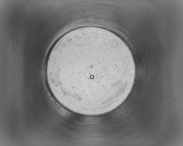 X0000073991514200609060944