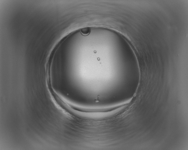 X0000073991515200609060944