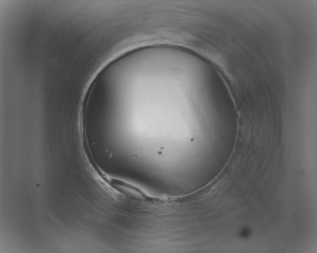 X0000073991516200609060944