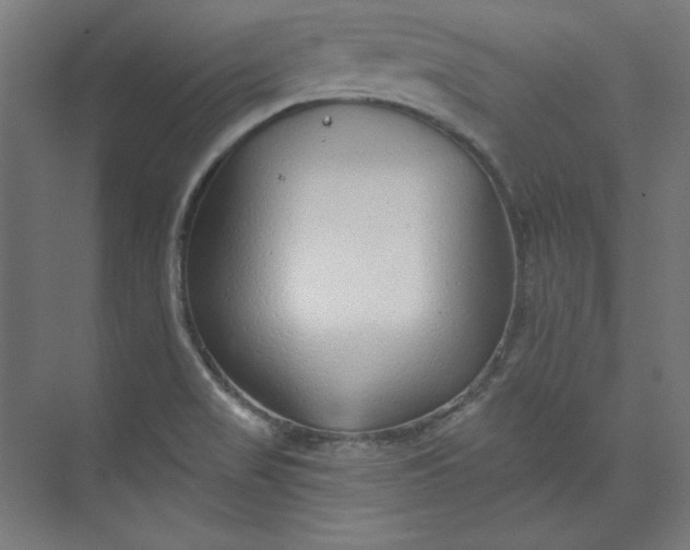 X0000073991517200609060944