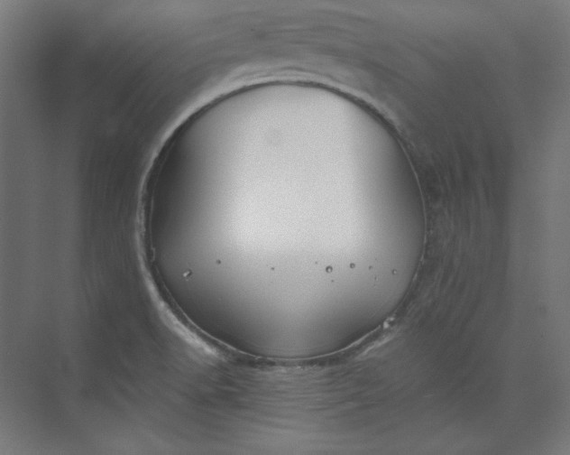 X0000073991518200609060944